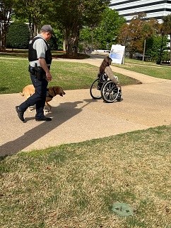 K9 walking with Kay