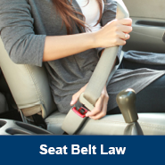 Seat Belt Law icon