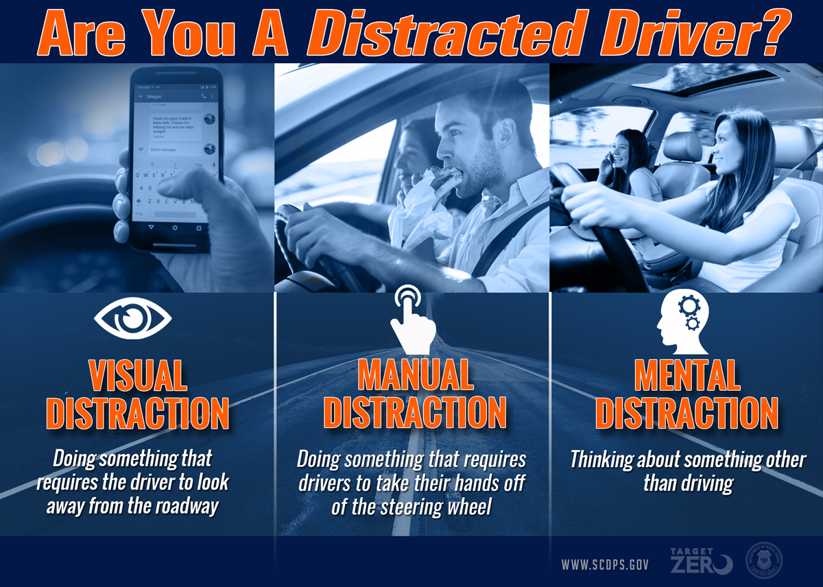 TZT Distracted Driving types