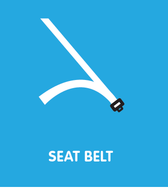 Seat Belt