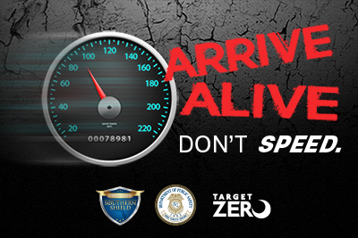 TZ Arrive Alive